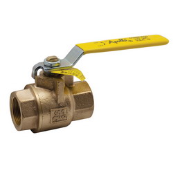 Apollo Valves 77C-101-01