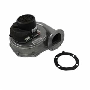 Lochinvar 100145007