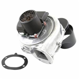 Lochinvar 100145009