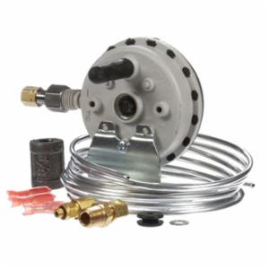 Lochinvar 100166248