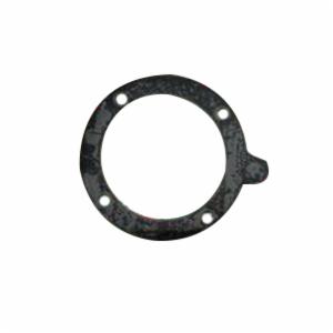 Lochinvar 100208101