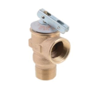 Lochinvar 100208365
