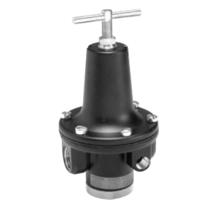 Watts R119-12CG