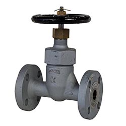 Forged Steel Flanged Globe Valve