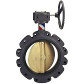 Ductile Iron Butterfly Valve
