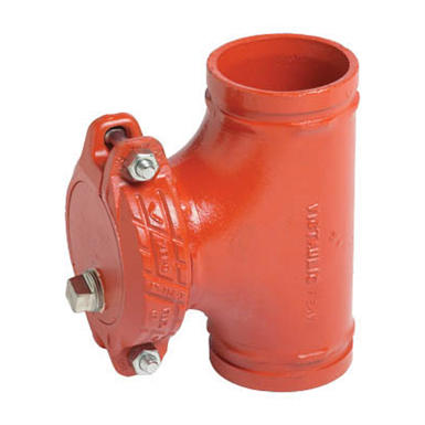 Grooved End T-Strainer