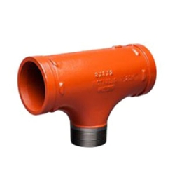 Victaulic FC62029P00