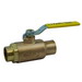 Apollo Valves 70-247-01