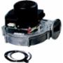 Lochinvar 100145005
