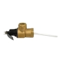Lochinvar 100167360