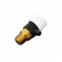 Lochinvar 100167445