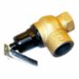 Lochinvar 100208442