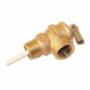 Lochinvar 100208443