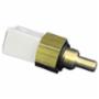 Lochinvar 100208547