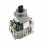 Lochinvar 100208612