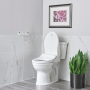 American Standard 4225A.104.020