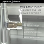 American Standard 7074.300.002