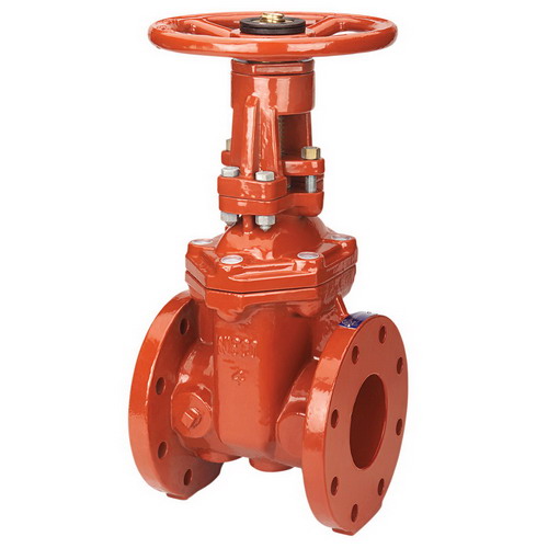125 Cast Iron Flanged Outside Stem and Yoke Gate Valve Nibco 21/2 in